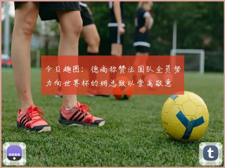今日趣图：德尚称赞法国队全员努力向世界杯的姆总致以崇高敬意