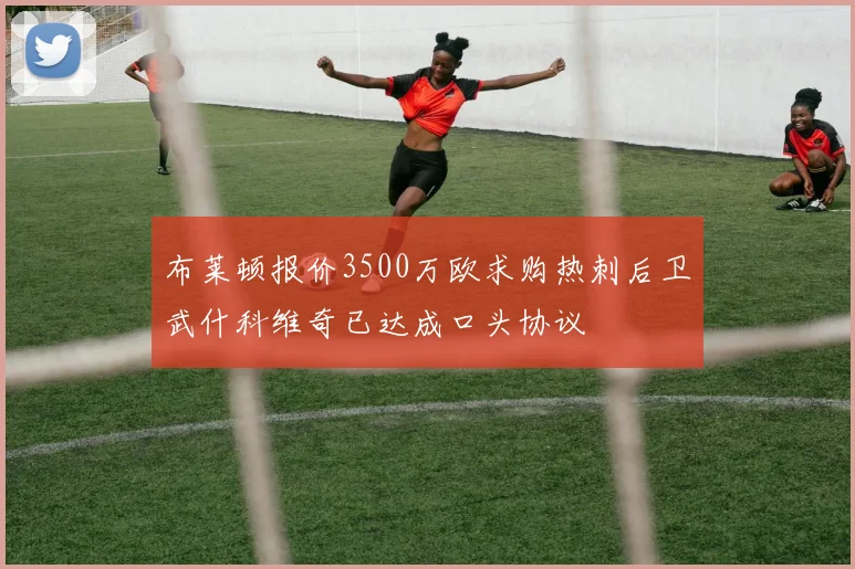 布莱顿报价3500万欧求购热刺后卫武什科维奇已达成口头协议